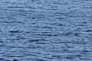 1118 Lake Terrace, Boynton Beach, FL 33426 - Photo 37