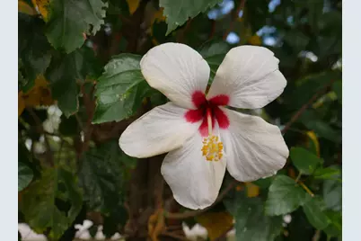 4116 N Quail Ridge Drive #A, Boynton Beach, FL 33436 - Photo 25