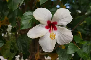 4116 N Quail Ridge Dr, Boynton Beach, FL 33436 - Photo 25