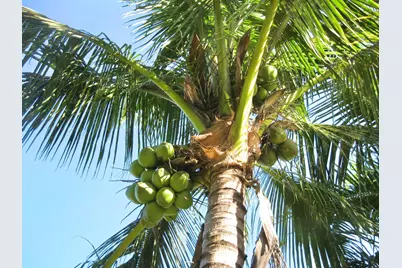 4001 Avocado Boulevard, West Palm Beach, FL 33411 - Photo 59