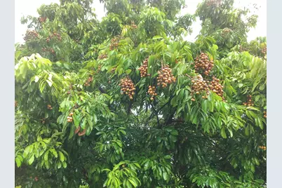 4001 Avocado Boulevard, West Palm Beach, FL 33411 - Photo 55