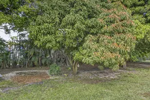 16107 86th St N, Loxahatchee, FL 33470 - Photo 99