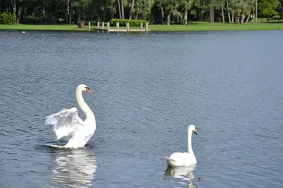 480 Hardwood Place, Boca Raton, FL 33431 - Photo 29