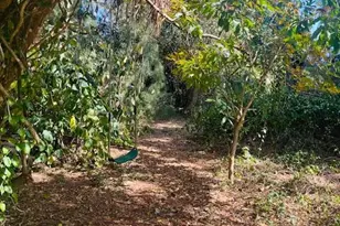 6131 Gun Club Rd, West Palm Beach, FL 33415 - Photo 17