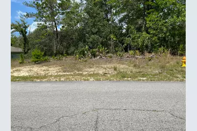 6876 N Sandborn Loop, Dunnellon, FL 34433 - Photo 1