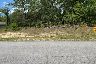 6876 N Sandborn Loop, Citrus Springs, FL 34433 - Photo 1