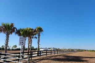 10124 SW Hemingway Ter, Palm City, FL 34990 - Photo 11