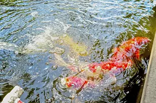 17424 121st Terrace N, Jupiter, FL 33478 - Photo 35