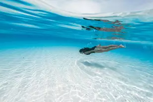 154 Jupiter Key Rd, Jupiter, FL 33477 - Photo 59