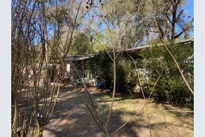 15137 NE 141st Street, Fort Mc Coy, FL 32134 - Photo 9