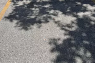 3124 US Hwy 441, Okeechobee, FL 34974 - Photo 29