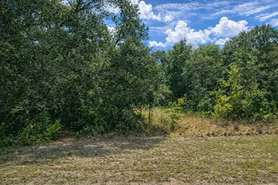 4375 SW 194th Avenue, Dunnellon, FL 34432 - Photo 5