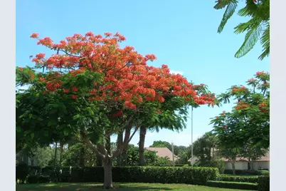 2821 28th Court, Jupiter, FL 33477 - Photo 29