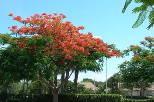 2821 28th Ct, Jupiter, FL 33477 - Photo 29