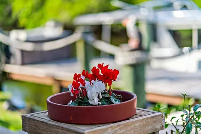 655 SW Salerno Road, Stuart, FL 34997 - Photo 65