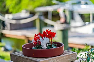 655 SW Salerno Rd, Stuart, FL 34997 - Photo 65