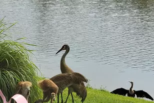 12127 SW Jasper Lake Way, Port Saint Lucie, FL 34987 - Photo 57
