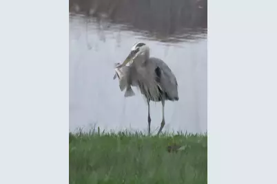 12127 SW Jasper Lake Way, Port Saint Lucie, FL 34987 - Photo 61