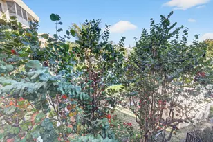 50 SW 3rd Ave, Boca Raton, FL 33432 - Photo 13