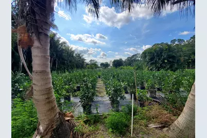 10655 61 Street S, Wellington, FL 33449 - Photo 17