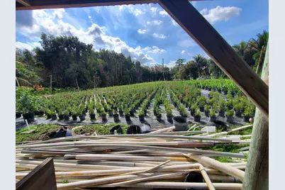 10655 61 Street S, Wellington, FL 33449 - Photo 11