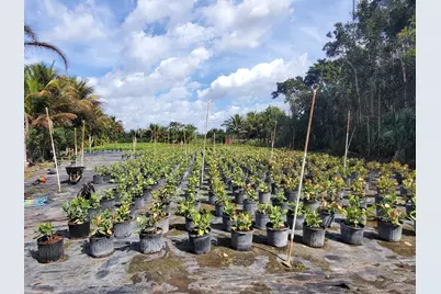 10655 61st Street S, Lake Worth Beach, FL 33449 - Photo 3