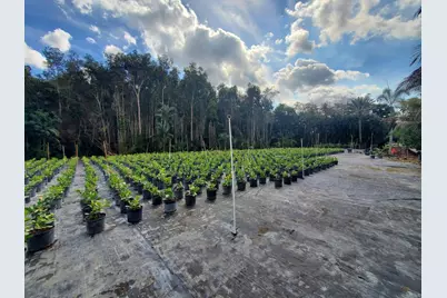 10655 61st Street S, Lake Worth Beach, FL 33449 - Photo 7