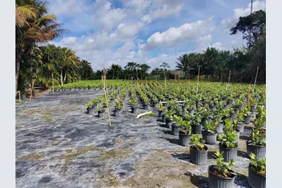 10655 61st Street S, Lake Worth Beach, FL 33449 - Photo 5