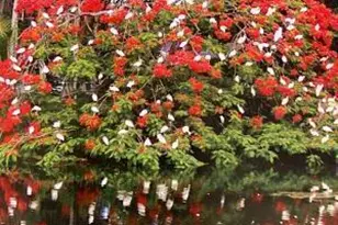 5380 Cedar Lake Dr, Boynton Beach, FL 33437 - Photo 41