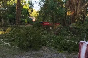 509 E Magnolia St, Kissimmee, FL 34744 - Photo 7