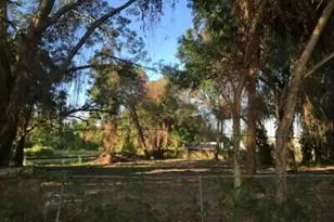 509 E Magnolia St, Kissimmee, FL 34744 - Photo 5