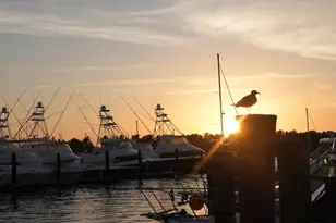 184 Lake Dr, Riviera Beach, FL 33404 - Photo 11