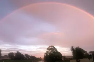 1199 SW 25th Ave, Boynton Beach, FL 33426 - Photo 17