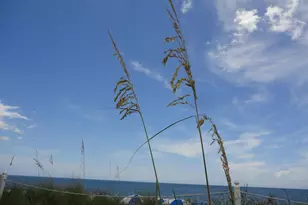 1440 Lexington Square SW, Vero Beach, FL 32962 - Photo 45