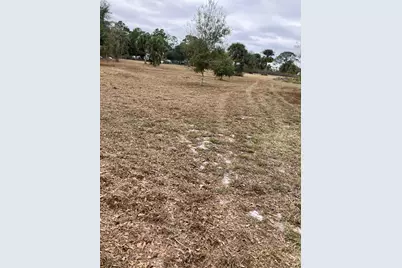 410 S Brida Street, Clewiston, FL 33440 - Photo 5