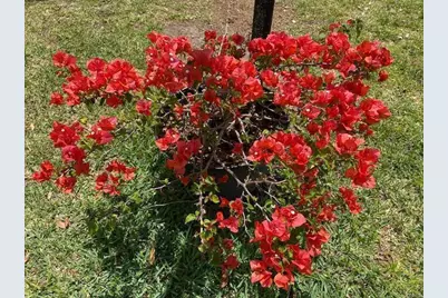 8680 US Highway 441, Okeechobee, FL 34974 - Photo 13