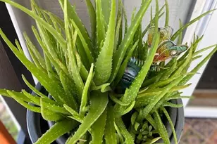 8680 US Hwy 441, Okeechobee, FL 34974 - Photo 9