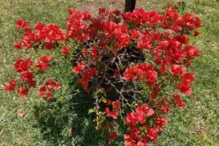 8680 US Hwy 441, Okeechobee, FL 34974 - Photo 9