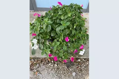 8680 US Highway 441 #Ba8, Okeechobee, FL 34974 - Photo 11