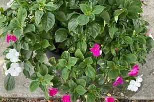 8680 US Hwy 441, Okeechobee, FL 34974 - Photo 11