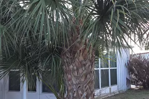 2915 Roger St, Sebring, FL 33872 - Photo 27