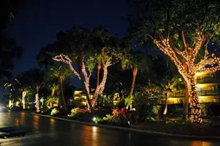 6 Royal Palm Way, Boca Raton, FL 33432 - Photo 23