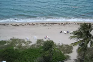 1057 Hillsboro Mile, Hillsboro Beach, FL 33062 - Photo 33