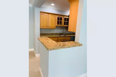 1515 E Broward Boulevard #223, Fort Lauderdale, FL 33301 - Photo 5