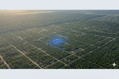 10655 Turpin Avenue, Hastings, FL 32145 - Photo 7