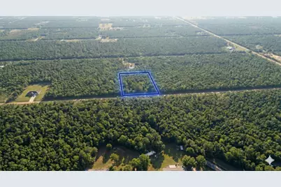 10655 Turpin Avenue, Hastings, FL 32145 - Photo 1