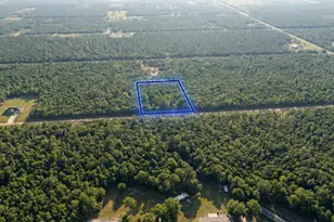 10655 Turpin Ave, Hastings, FL 32145 - Photo 1