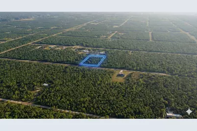 10660 Turpin Avenue, Hastings, FL 32145 - Photo 1