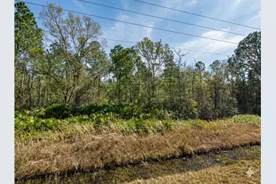 10720 Yeager Avenue, Hastings, FL 32145 - Photo 1
