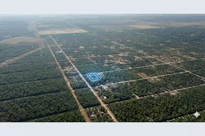 10720 Yeager Avenue, Hastings, FL 32145 - Photo 5